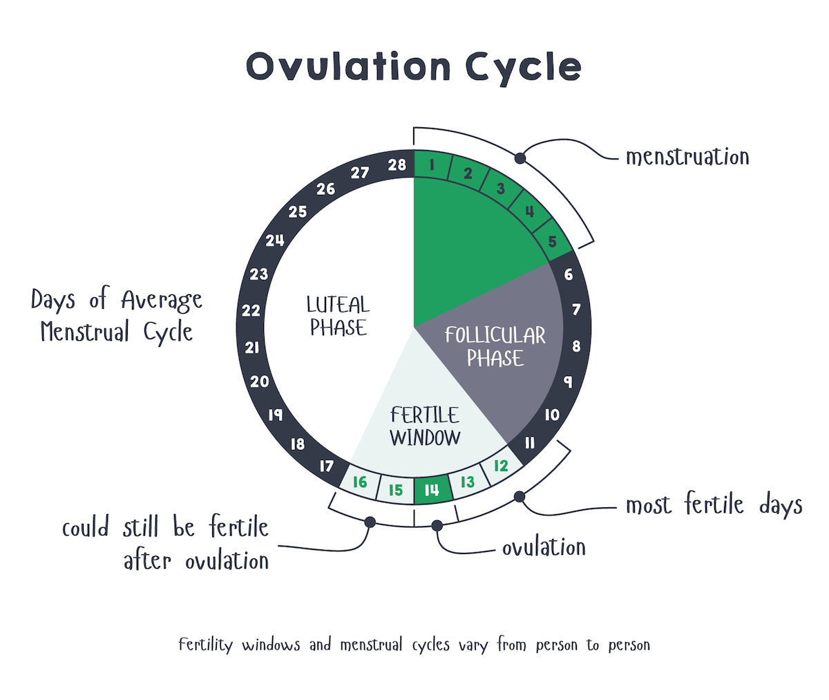 Clue An App for Period & Ovulation Tracking HotDoc